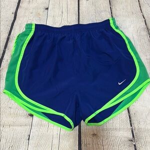Nike Blue and Green Dry Fit Shorts